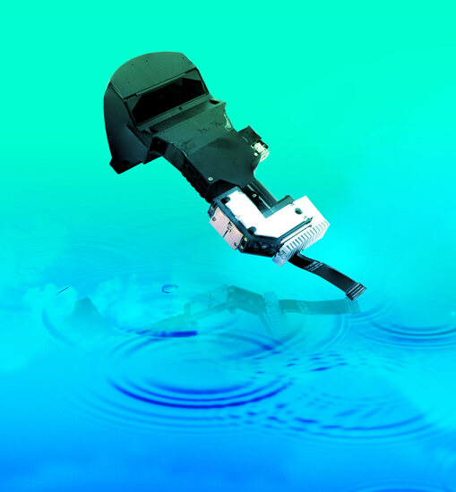 31